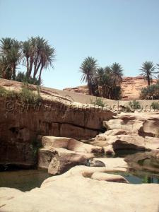 L\'eau à Tiout, Oasis du Sud Ouest Algerien (Wilaya de Naama)