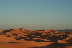 Dunes algériennes