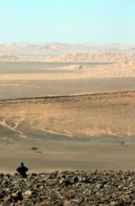 erg er raoui (depuis djebel meznerent)