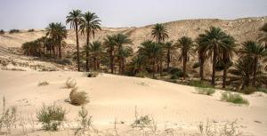 Igli, Algeria - 15.04.2005