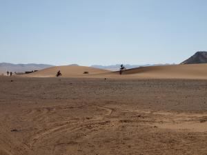 LA DUNE DU MARABOU . MORABI . MAI 2010