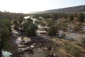 Oued Saoura near Kerzaz - downstream view