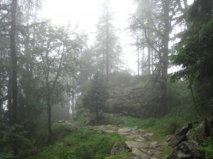 Brume et brouillard.