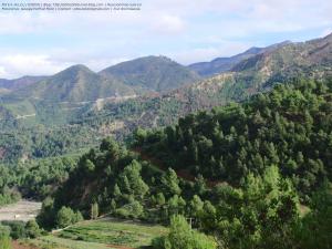 Hammam Melouane Magtaa Lazrag (Atlas blidéen), Wilaya de Blida