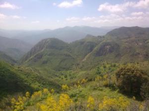 Environ de Tazarine, Bougara, (Atlas blidéen), Wilaya de Blida