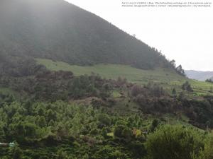 Magtaa Lazrag (Atlas blidéen), Wilaya de Blida