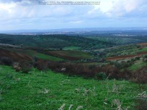 Laazayeb (Hauteurs de Amroussa - Atlas blidéen), W. de Blida