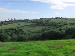 Laazayeb (Hauteurs de Amroussa - Atlas blidéen), W. de Blida
