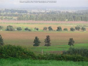 Laazayeb (Hauteurs de Amroussa - Atlas blidéen), W. de Blida