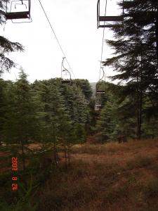 Foret de Chreah Blida