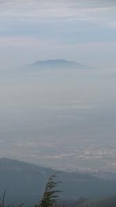 mont de chenoua Tipaza