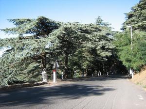 avant d'arriver sur la place