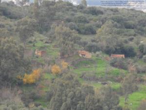 Hauteurs de Soumaa, D. de Bouinan, W. de Blida