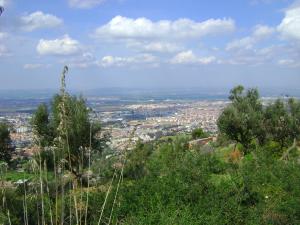 Chréa - vue sur Blida