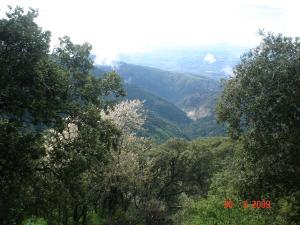 Près de la glacière
