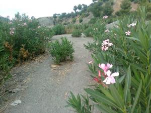 Sur les rives de la vallée