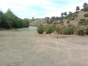 ??? ??? ?? ?? ??????