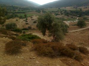 Paysage sur la haute vallée ???? ???? ??? ??????