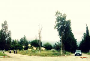 Faculté des Sciences Agro-Vétérinaire et Biologique de Blida - par Alicci