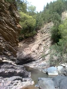 ?? ?????? ??? ???????