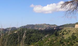 Abudid seg webrid ?er Micyi