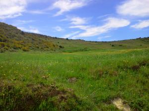djebabra (lfaga) la petite prairie