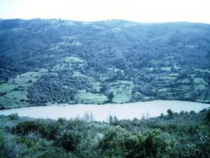 Meftah sidi hammed 2011