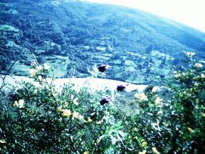 Meftah lac sidi hammed