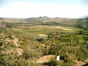 ???? ?? ????? ???? ??