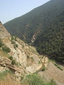 Vue sur les gorges de la Chiffa