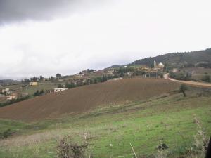 meftah mosquée ghaliz