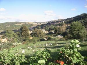 cimetière g'haliz meftah