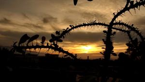 ouled chebel ????? ???