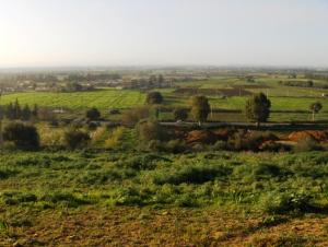 Depuis Al Mazra3a De Amrouche