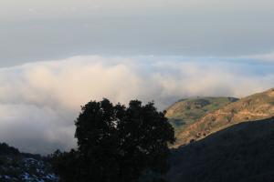 Au dessus des nuages