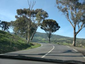 Hammam Righa, by GunSamir