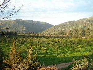 la nature de palestro-2