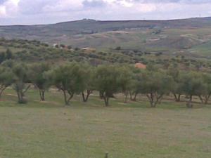 oued azro khabooziya (bouira)