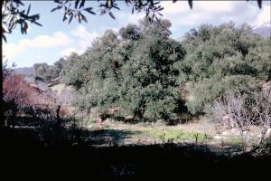 En montant à Tikjda