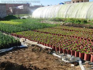 Bahli (Soumaa - Mitidja), Wilaya de Blida