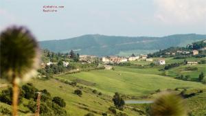 Ain Chriki..??? ?????