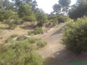 Taäwint Ivangane(source d'Ivangane en pleine forêt)