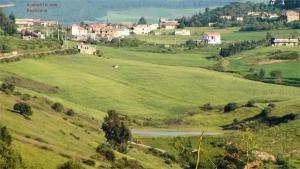 Ain Chriki..??? ?????