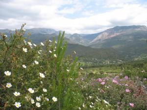 Sur les hauteurs de TIKJDA