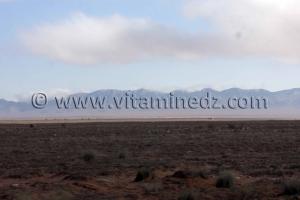 Mecheria (W. Naama) Djbel Antar