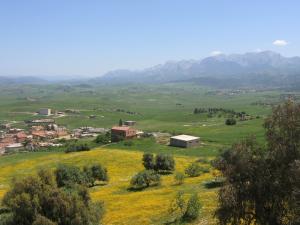 Djurdjura vue de Draa-el-Mizan