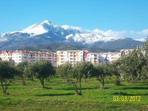 Vue sur le Djurdjura