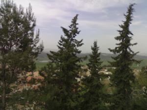 Draa el Mizen ???? ???????