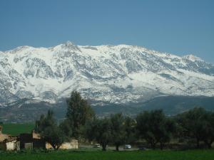 Djurjura Eneigé, March 2008