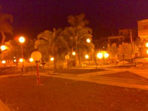 Jardin des 2 Palmiers